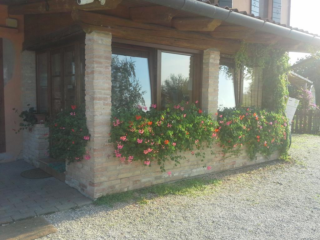 B&B Verde Venezia Mestre Buitenkant foto